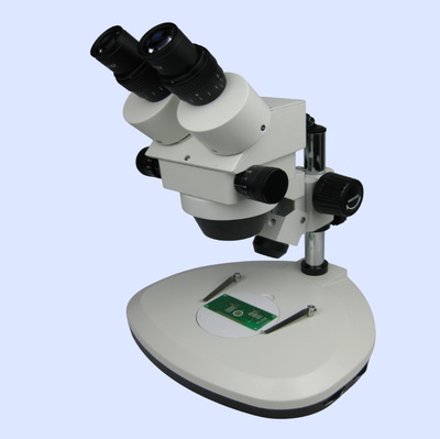 2300D stereo zoom microscope